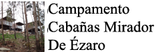 Página Principal